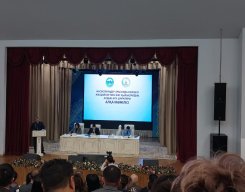 Фотографии